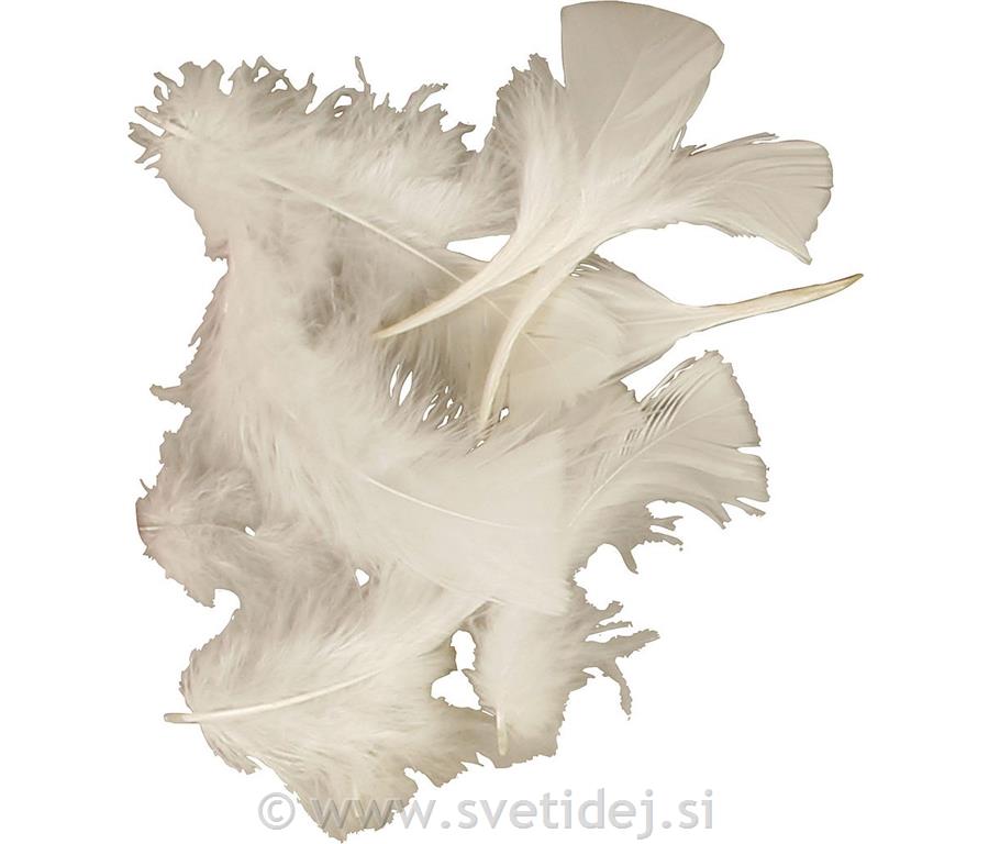 Okrasno perje, belo, 7-8 cm, 500 g