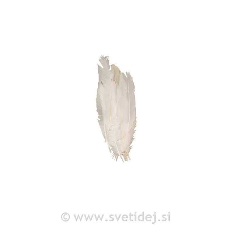Okrasno perje 15 cm, belo, set 350
