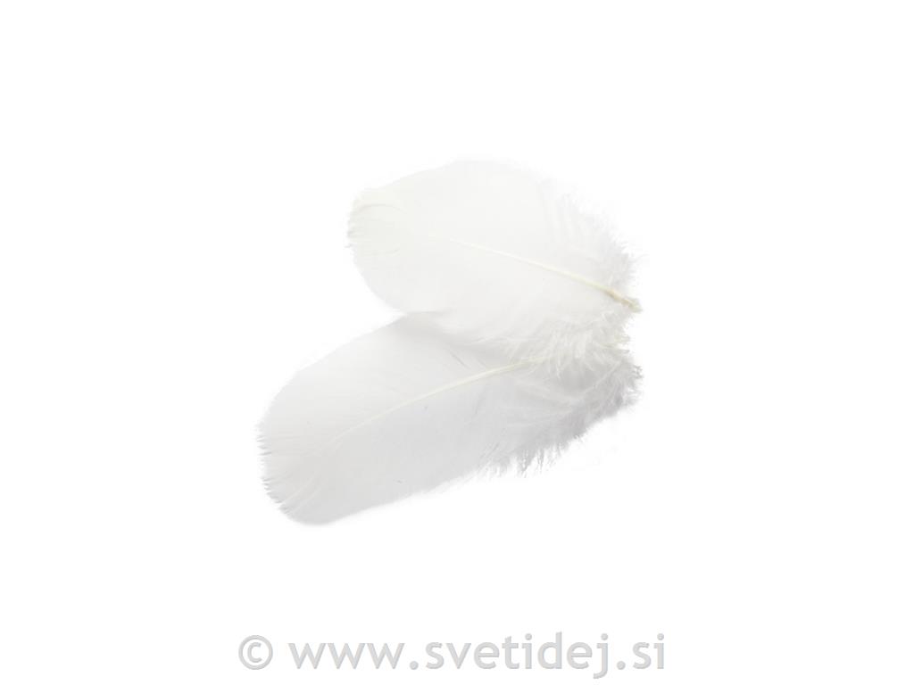 Gosje perje belo 8 cm, bela, set 3 g